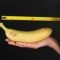 Den Penis vergrößern  ̶  Diese 4 Tipps sollen optisch funktionieren